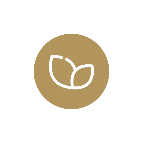 Icon Vegan